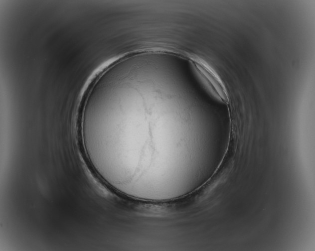 X0000086330995200704131715