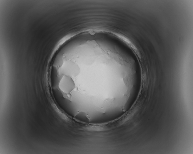 X0000086330998200704131714