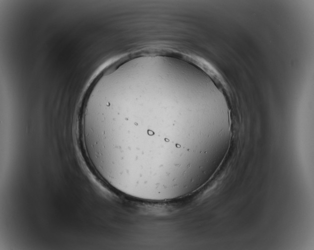 X0000086330999200704131714