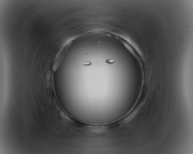 X0000086331001200704131714