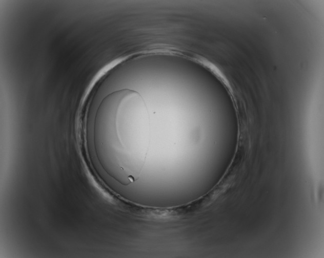 X0000086331003200704131714