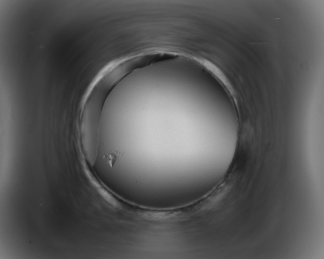 X0000086331005200704131714