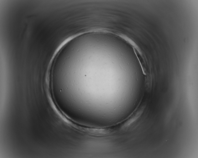 X0000086331007200704131714