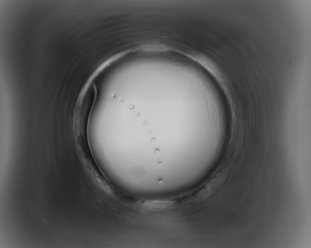 X0000086331008200704131714