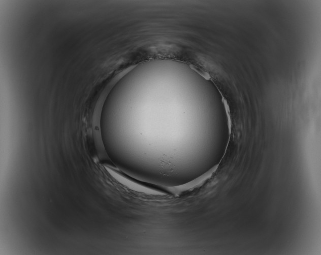 X0000086331010200704131713