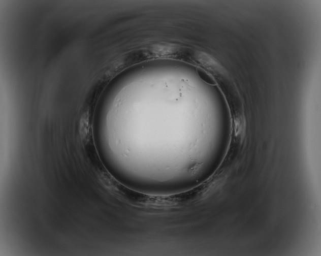 X0000086331011200704131714