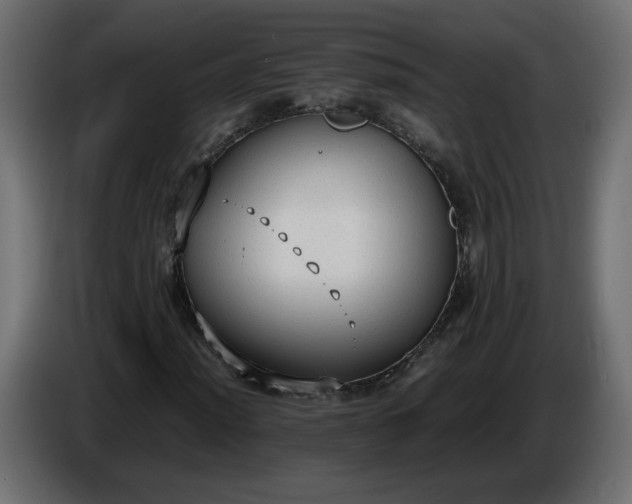 X0000086331012200704131714