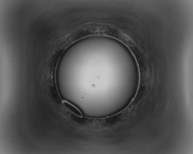 X0000086331013200704131714