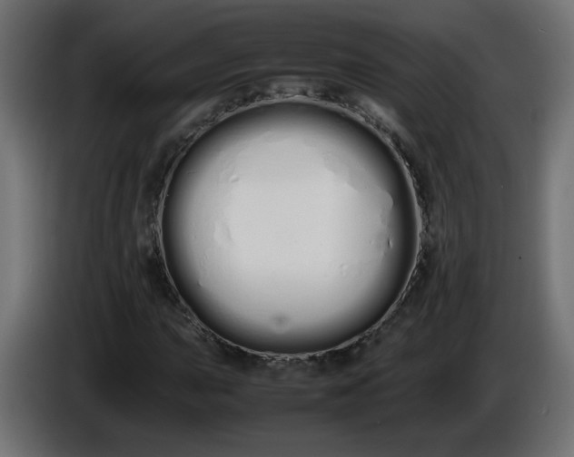 X0000086331015200704131714