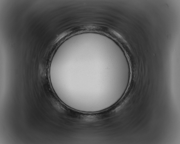 X0000086331017200704131714