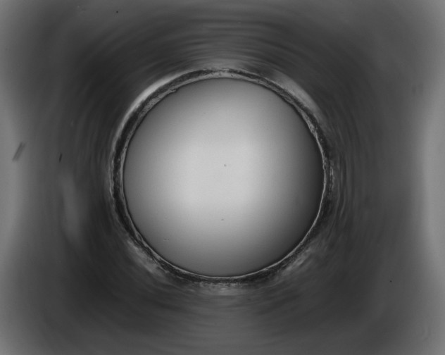 X0000086331020200704131714