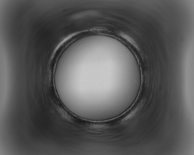 X0000086331021200704131714