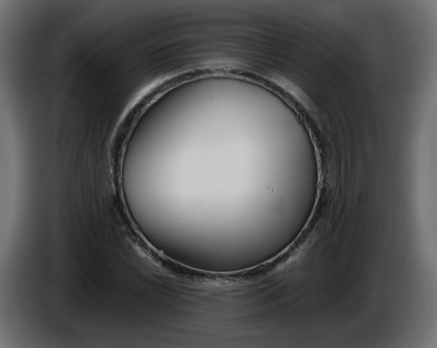 X0000086331022200704131714