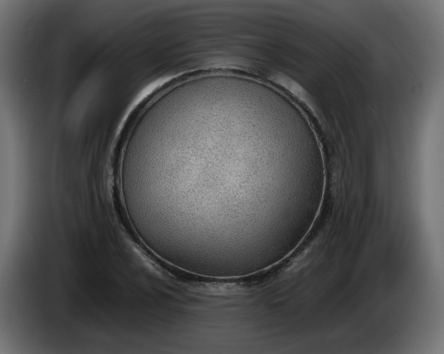 X0000086331024200704131714