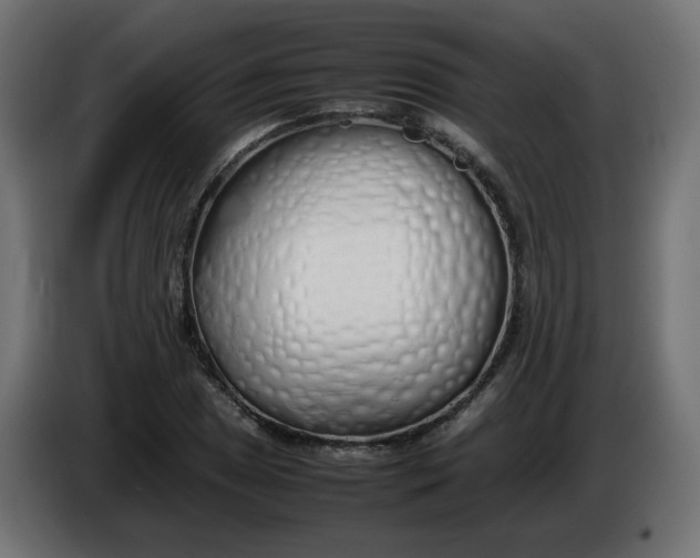 X0000086331025200704131714