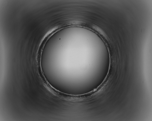 X0000086331026200704131714