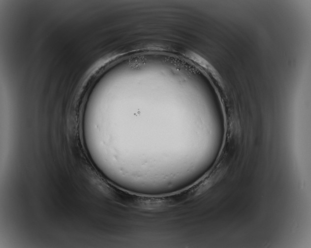 X0000086331027200704131714