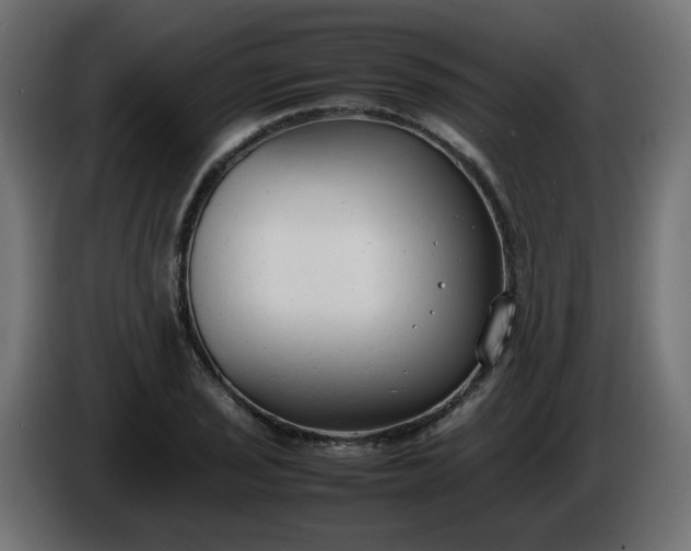 X0000086331029200704131714