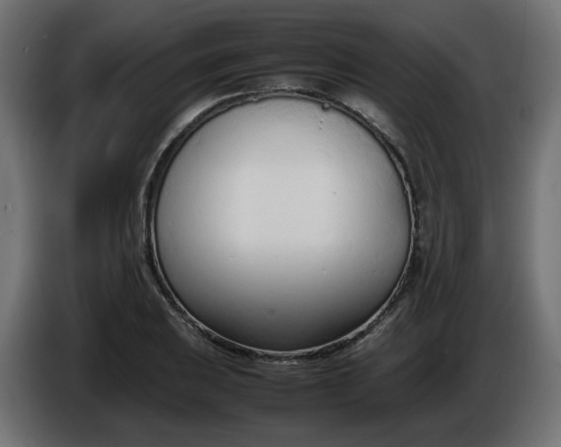 X0000086331031200704131714