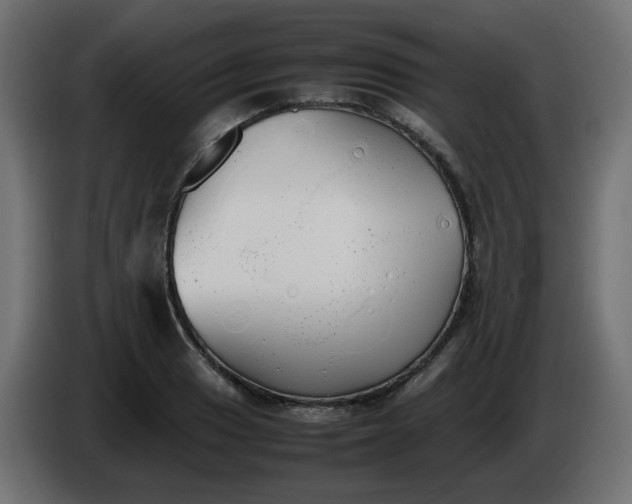 X0000086331033200704131714