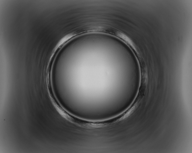 X0000086331034200704131714