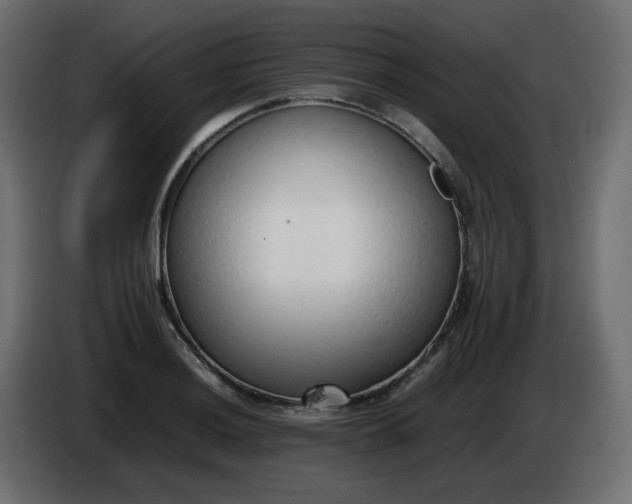 X0000086331036200704131714