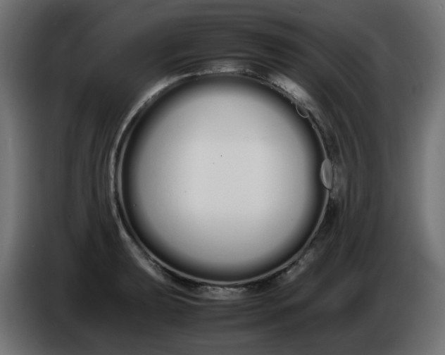 X0000086331039200704131714