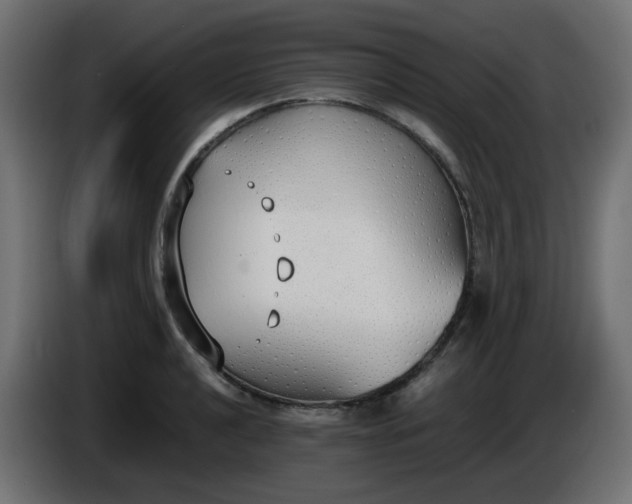 X0000086331040200704131714