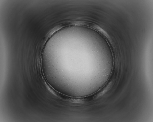 X0000086331041200704131714