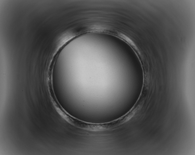 X0000086331042200704131714