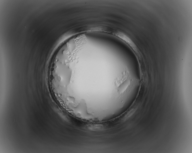 X0000086331043200704131714