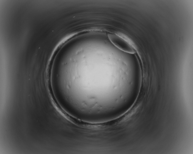 X0000086331045200704131714