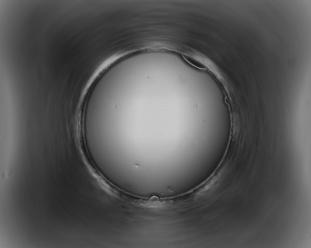 X0000086331048200704131714