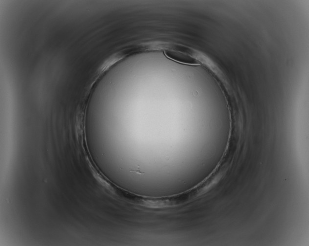 X0000086331049200704131714