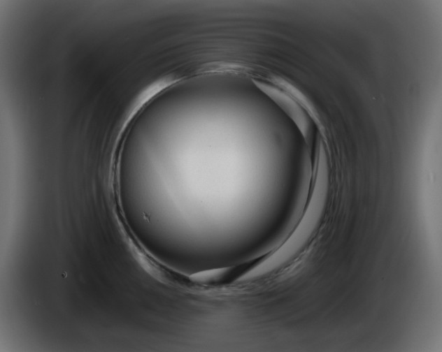 X0000086331050200704131714