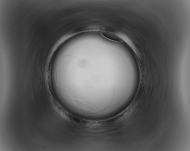 X0000086331051200704131714