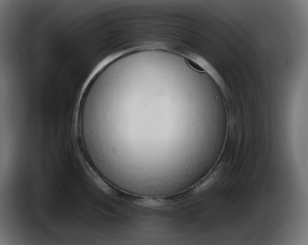 X0000086331052200704131714