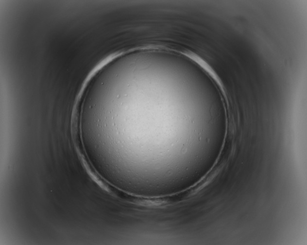 X0000086331053200704131714