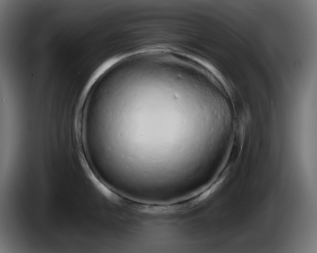 X0000086331054200704131714