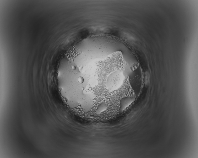 X0000086331059200704131713