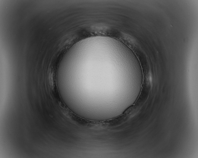 X0000086331060200704131713