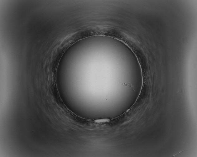 X0000086331061200704131713