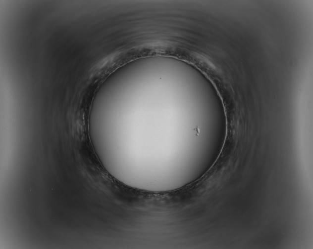 X0000086331062200704131713