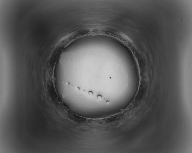 X0000086331063200704131713