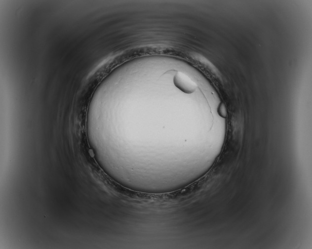 X0000086331064200704131713