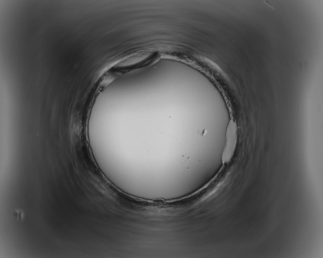 X0000086331065200704131713