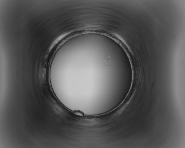 X0000086331066200704131713