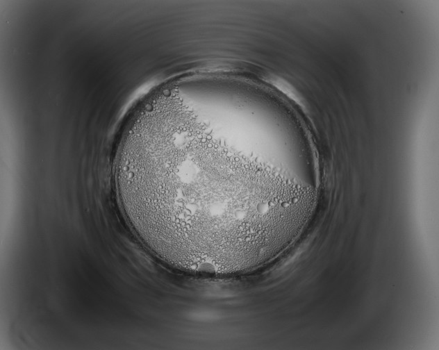 X0000086331067200704131713