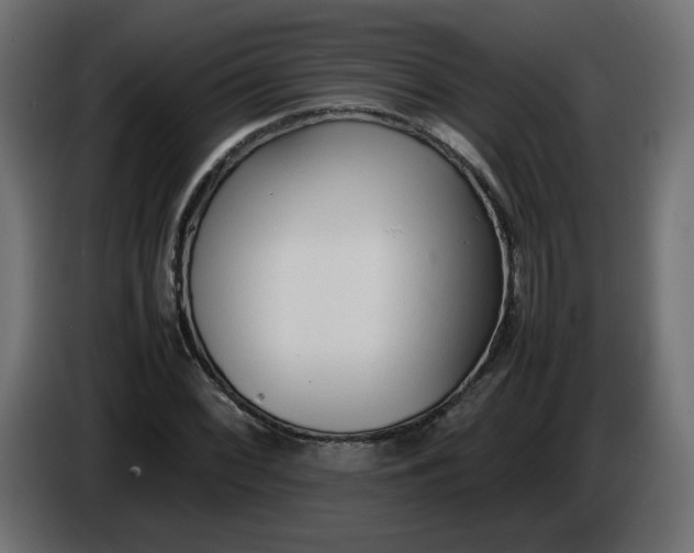 X0000086331068200704131713