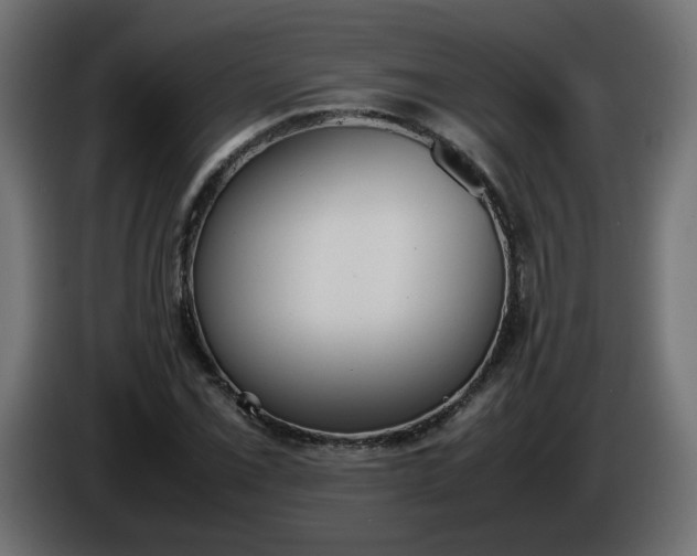 X0000086331069200704131713